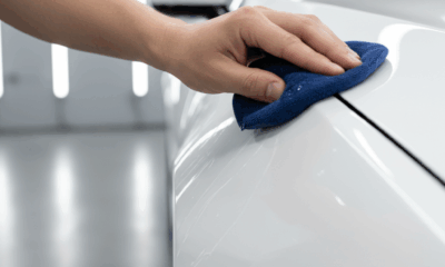 découvrez la signification de la couleur blanche, ses usages variés et des idées inspirantes pour 2025 afin d'intégrer cette teinte dans votre quotidien et vos projets.